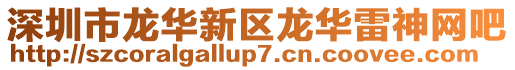 深圳市龍華新區(qū)龍華雷神網(wǎng)吧