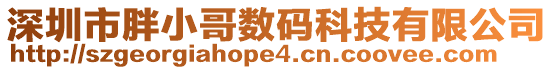 深圳市胖小哥數(shù)碼科技有限公司