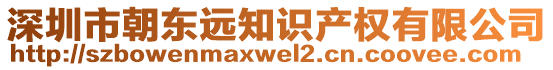 深圳市朝東遠(yuǎn)知識(shí)產(chǎn)權(quán)有限公司