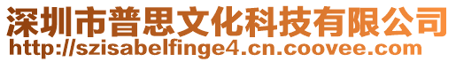 深圳市普思文化科技有限公司