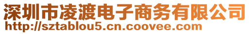 深圳市凌渡電子商務(wù)有限公司