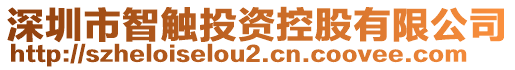 深圳市智觸投資控股有限公司