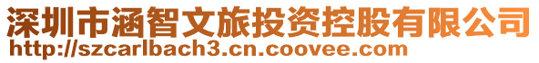 深圳市涵智文旅投資控股有限公司