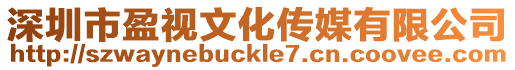深圳市盈視文化傳媒有限公司