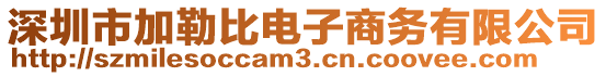 深圳市加勒比電子商務有限公司