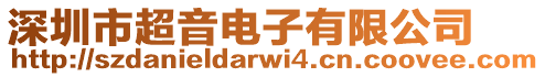 深圳市超音電子有限公司