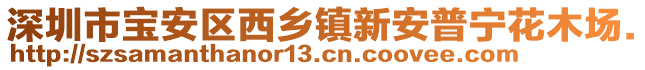 深圳市宝安区西乡镇新安普宁花木场.