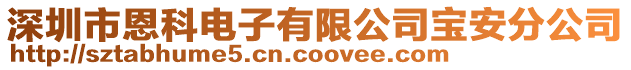 深圳市恩科電子有限公司寶安分公司