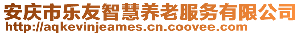 安慶市樂友智慧養(yǎng)老服務(wù)有限公司