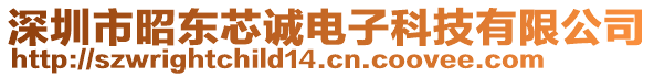 深圳市昭東芯誠電子科技有限公司