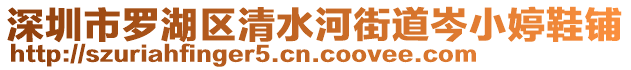 深圳市羅湖區(qū)清水河街道岑小婷鞋鋪