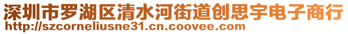 深圳市罗湖区清水河街道创思宇电子商行