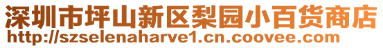 深圳市坪山新區(qū)梨園小百貨商店