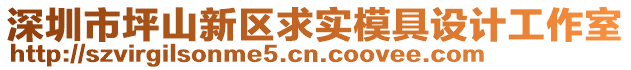 深圳市坪山新區(qū)求實模具設計工作室