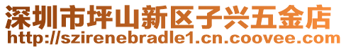 深圳市坪山新區(qū)子興五金店