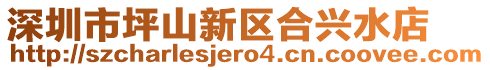 深圳市坪山新區合興水店