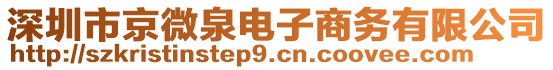 深圳市京微泉電子商務有限公司