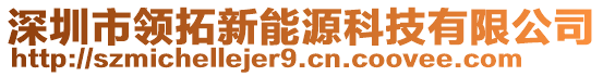 深圳市領(lǐng)拓新能源科技有限公司