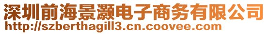 深圳前海景灝電子商務有限公司