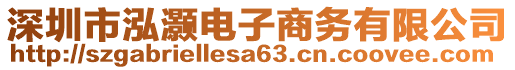 深圳市泓灝電子商務(wù)有限公司