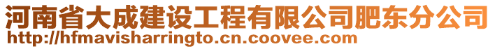 河南省大成建設(shè)工程有限公司肥東分公司