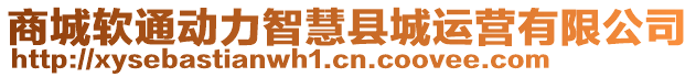 商城軟通動力智慧縣城運(yùn)營有限公司