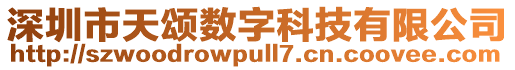 深圳市天颂数字科技有限公司