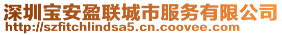 深圳寶安盈聯(lián)城市服務(wù)有限公司