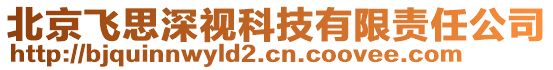 北京飛思深視科技有限責(zé)任公司