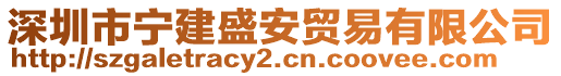 深圳市寧建盛安貿(mào)易有限公司