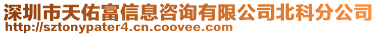 深圳市天佑富信息咨詢有限公司北科分公司