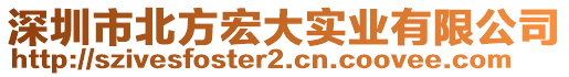 深圳市北方宏大實業(yè)有限公司