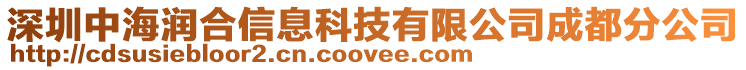 深圳中海潤合信息科技有限公司成都分公司