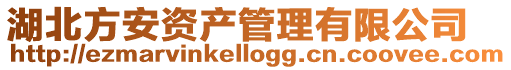 湖北方安資產管理有限公司
