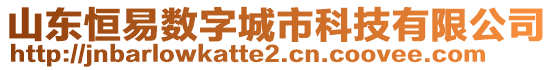 山東恒易數(shù)字城市科技有限公司