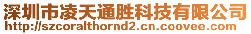 深圳市凌天通勝科技有限公司