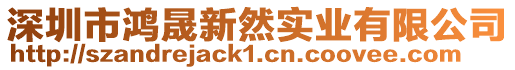 深圳市鴻晟新然實業(yè)有限公司