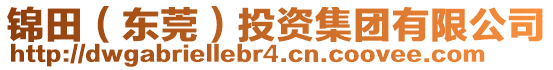 錦田（東莞）投資集團(tuán)有限公司