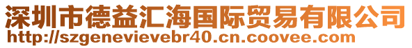 深圳市德益匯海國際貿(mào)易有限公司