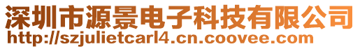 深圳市源景電子科技有限公司