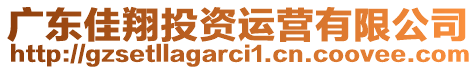 廣東佳翔投資運(yùn)營(yíng)有限公司