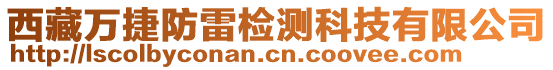 西藏萬捷防雷檢測科技有限公司