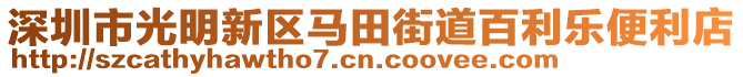 深圳市光明新區(qū)馬田街道百利樂便利店