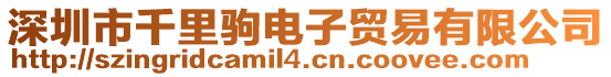 深圳市千里駒電子貿易有限公司