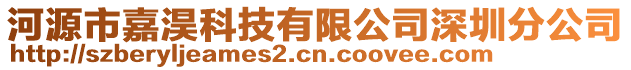 河源市嘉淏科技有限公司深圳分公司