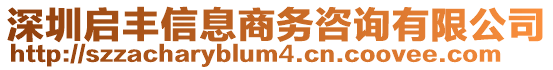 深圳啟豐信息商務(wù)咨詢有限公司