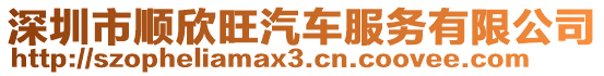 深圳市順欣旺汽車服務有限公司