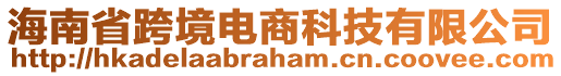 海南省跨境電商科技有限公司