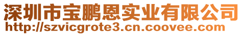 深圳市寶鵬恩實業(yè)有限公司