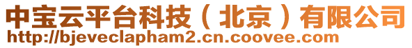 中寶云平臺(tái)科技（北京）有限公司